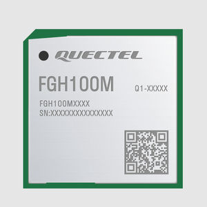 WIFI-Modul 1
