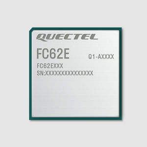 WIFI-Modul / Bluetooth 1