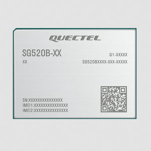 Wireless-Modul / Bluetooth 1