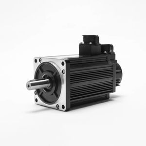 AC-Servomotor