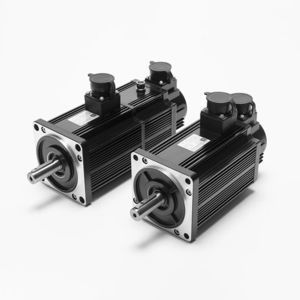 Schritt-Servomotor