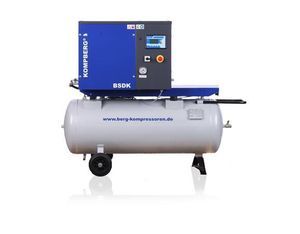 Schraubenkompressor 1