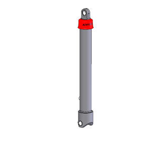 Hydraulikzylinder 1