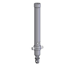 Hydraulikzylinder 1