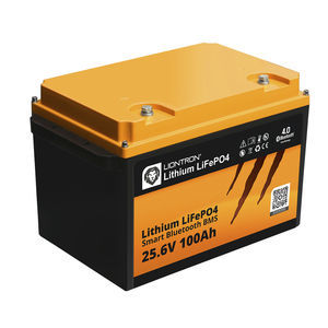 LiFePO4-Batterie
