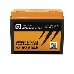 LiFePO4-Batterie