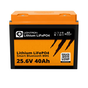 LiFePO4-Batterie