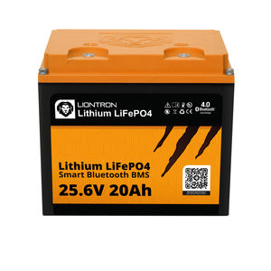 LiFePO4-Batterie