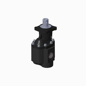 Außenzahnrad-Hydraulikpumpe