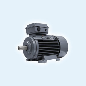 Synchronmotor