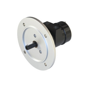 Lamellen-Druckluftmotor 1