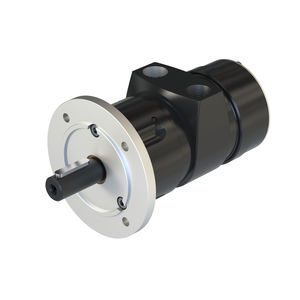 Lamellen-Druckluftmotor 1