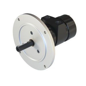 Lamellen-Druckluftmotor 1