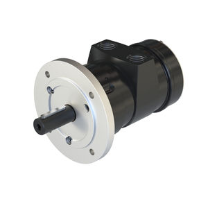 Lamellen-Druckluftmotor 1