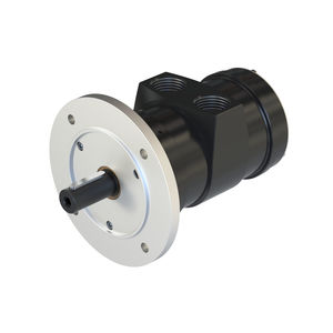 Lamellen-Druckluftmotor 1