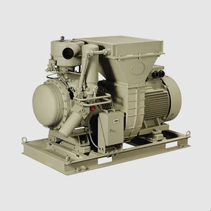 Schraubenkompressor 1