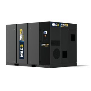 Schraubenkompressor 1