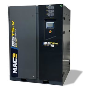 Schraubenkompressor 1