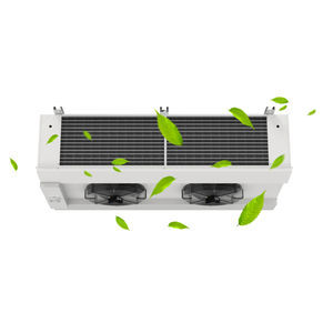tragbarer Ionengenerator