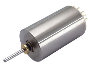 bürstenloser Motor