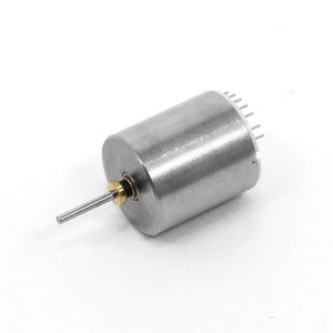 bürstenloser Motor
