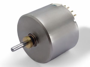 bürstenloser Motor