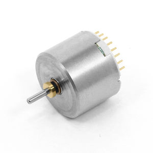 bürstenloser Motor