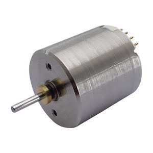 bürstenloser Motor