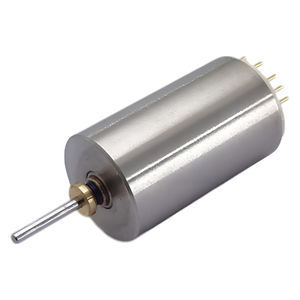 bürstenloser Motor 1