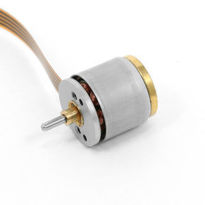 bürstenloser Motor 1