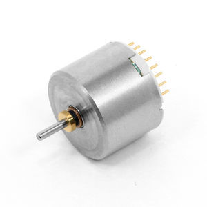 bürstenloser Motor 1