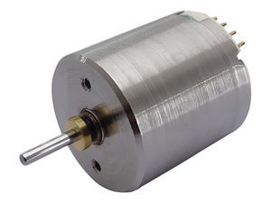bürstenloser Motor 1