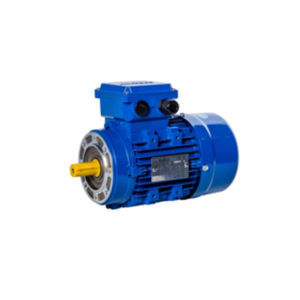 einphasiger Motor