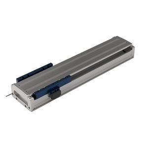 geführter Linearmodul