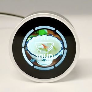 IPS-Displaymodule