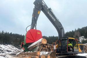 Holzgreifer 1