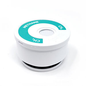 CH4-Methansensor 1