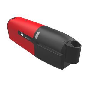 Raman-Spektrometer