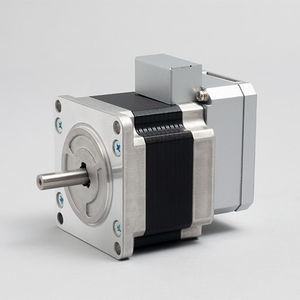 Servomotor mit integriertem Controller