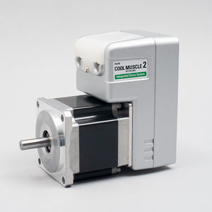 Servomotor mit integriertem Controller