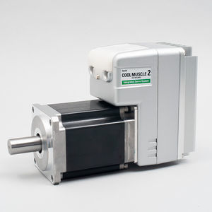 Servomotor mit integriertem Controller