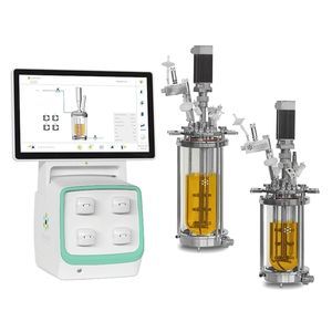 Fed-Batch-Bioreaktor/Fermenter 1