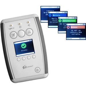 tragbares RFID-System