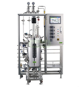 Rührkessel-Bioreaktor/Fermenter