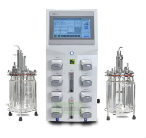 Rührkessel-Bioreaktor/Fermenter