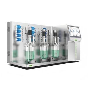 Rührkessel-Bioreaktor/Fermenter