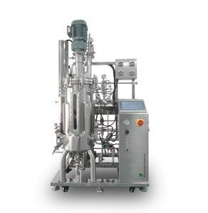 Rührkessel-Bioreaktor/Fermenter