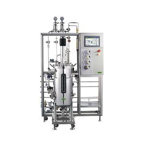 Rührkessel-Bioreaktor/Fermenter