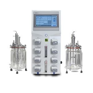 Rührkessel-Bioreaktor/Fermenter