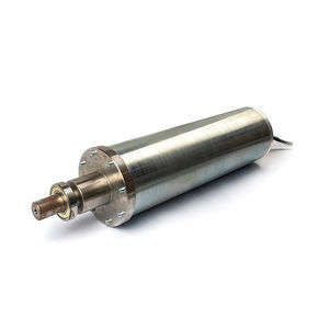 Motorrolle mit Riemenantrieb